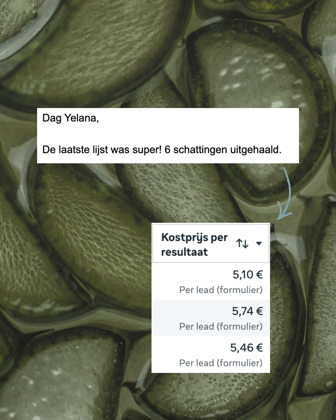 Bericht: 6 schattingen uitgehaald - kost per lead €5,10