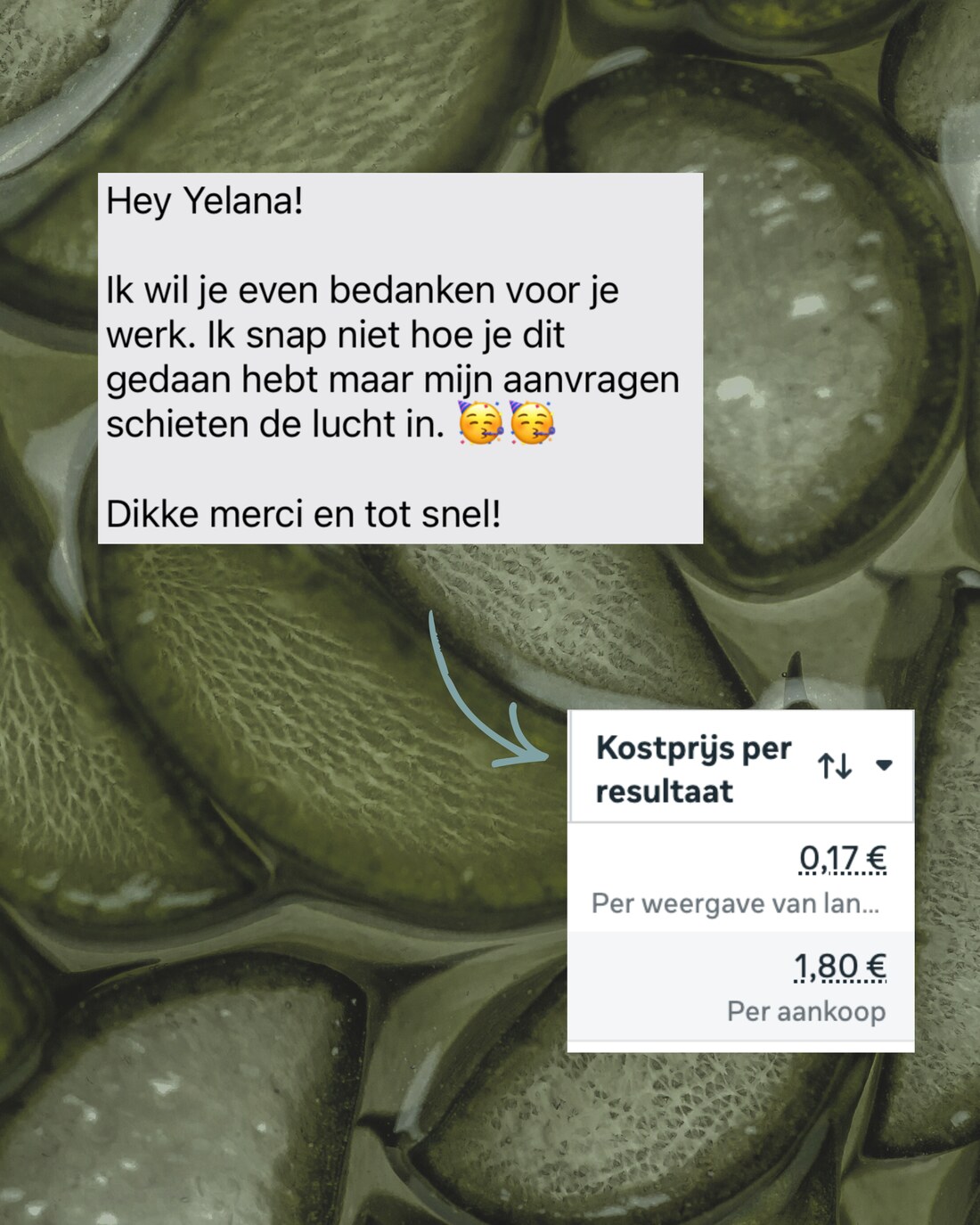 Bericht: aanvragen schieten de lucht in - kost per aankoop €1,80