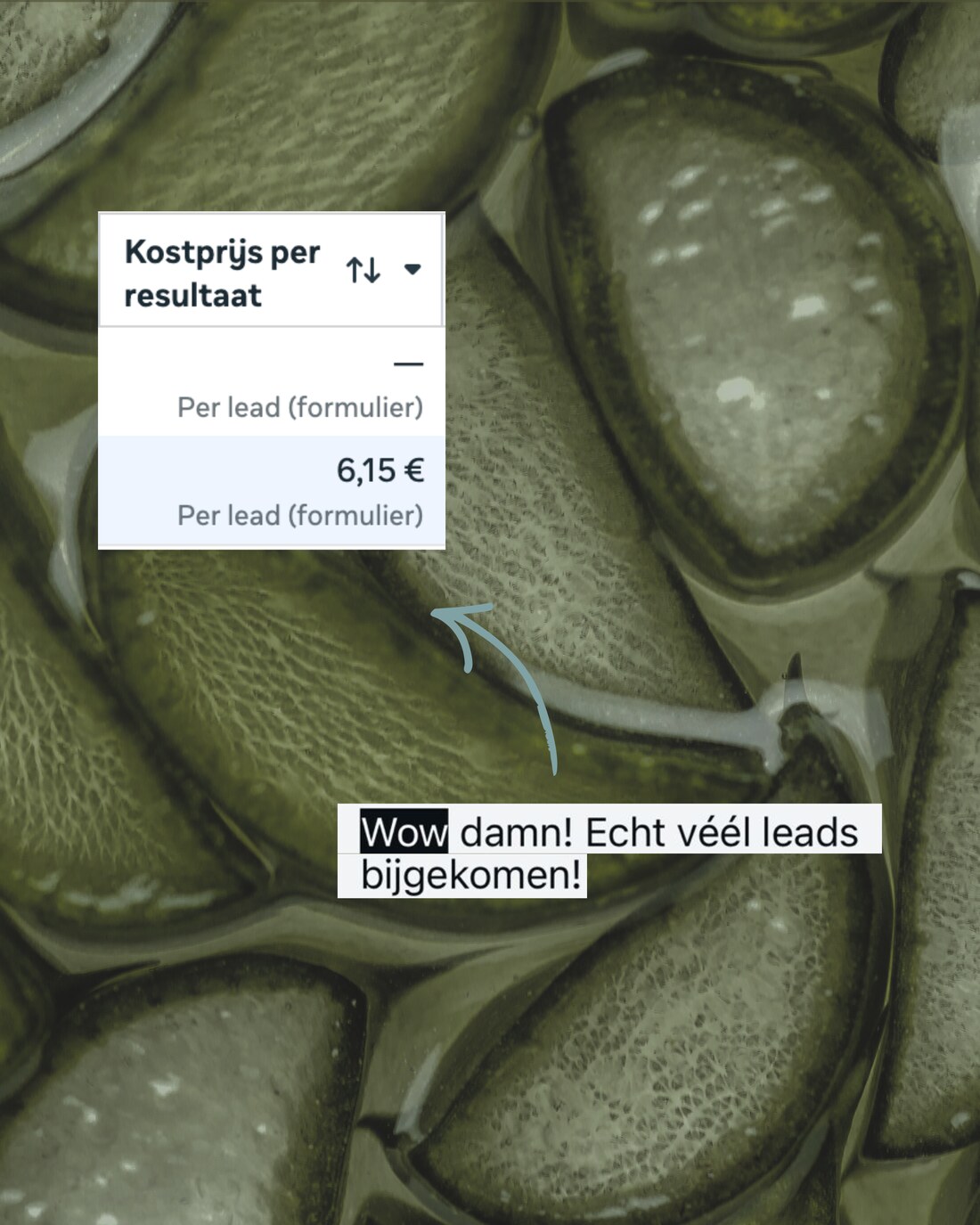 Bericht: véél leads bijgekomen - kost per lead €6,15