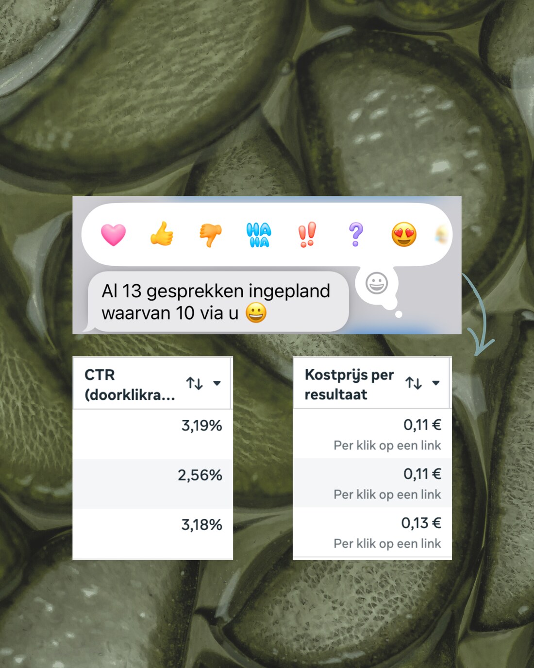 Bericht: al 13 gesprekken ingepland - kost per klik €0,11